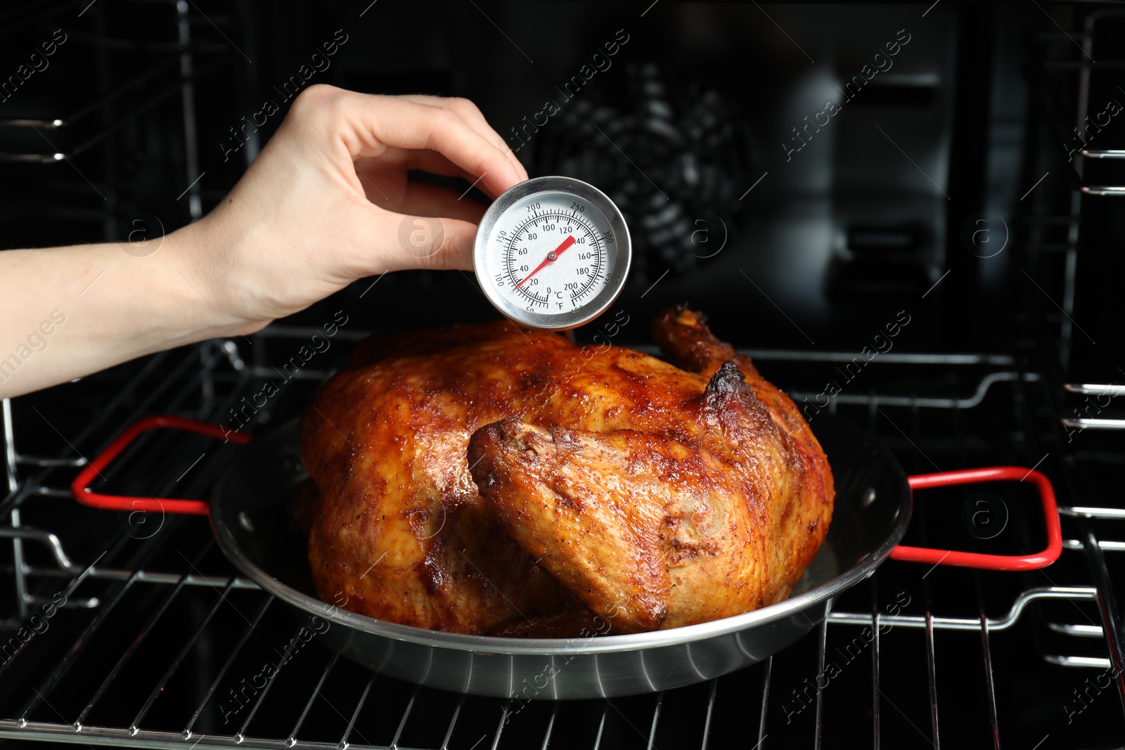 Photo of Woman measuring temperature of delicious baked turkey in kitchen, closeup