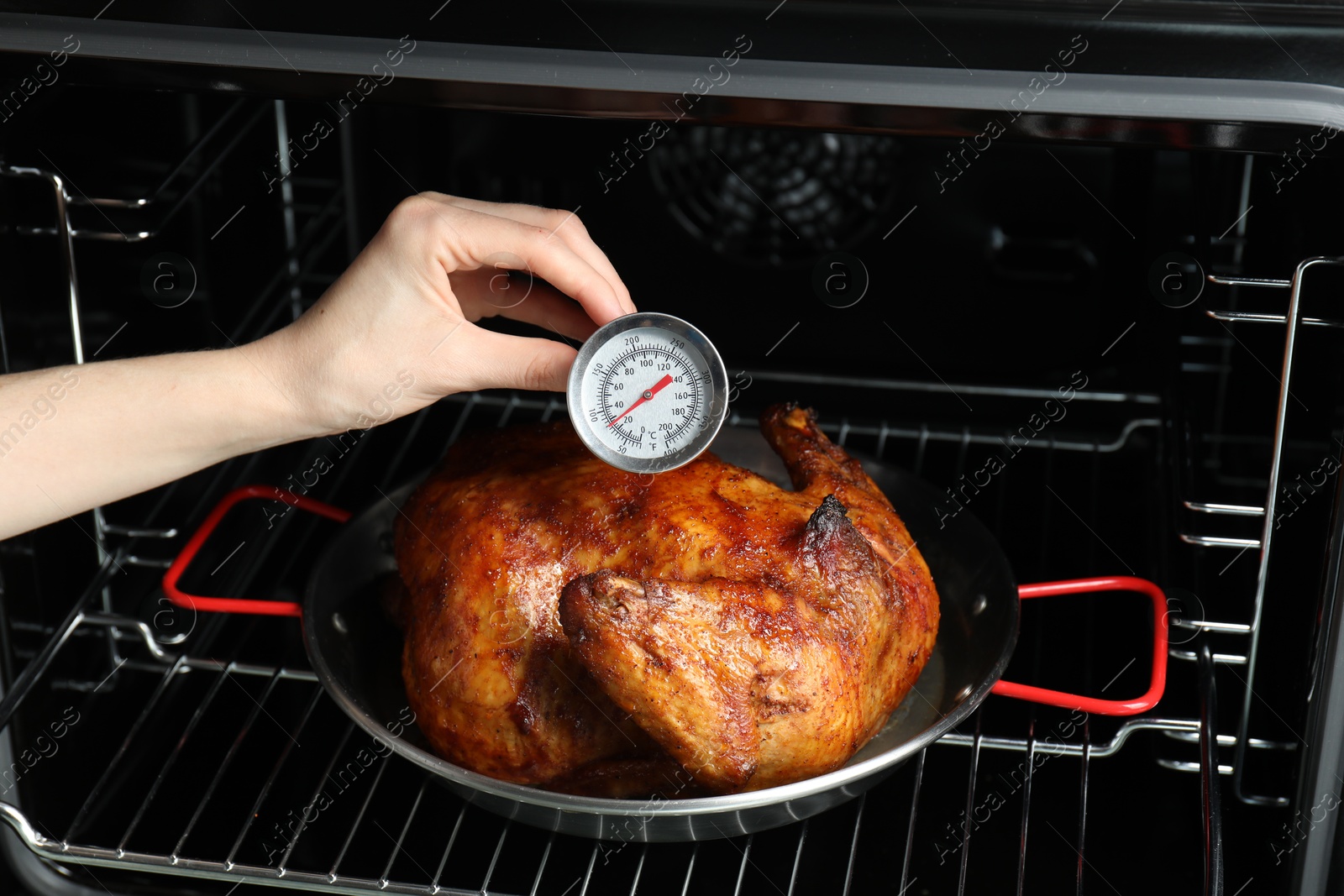 Photo of Woman measuring temperature of delicious baked turkey in kitchen, closeup