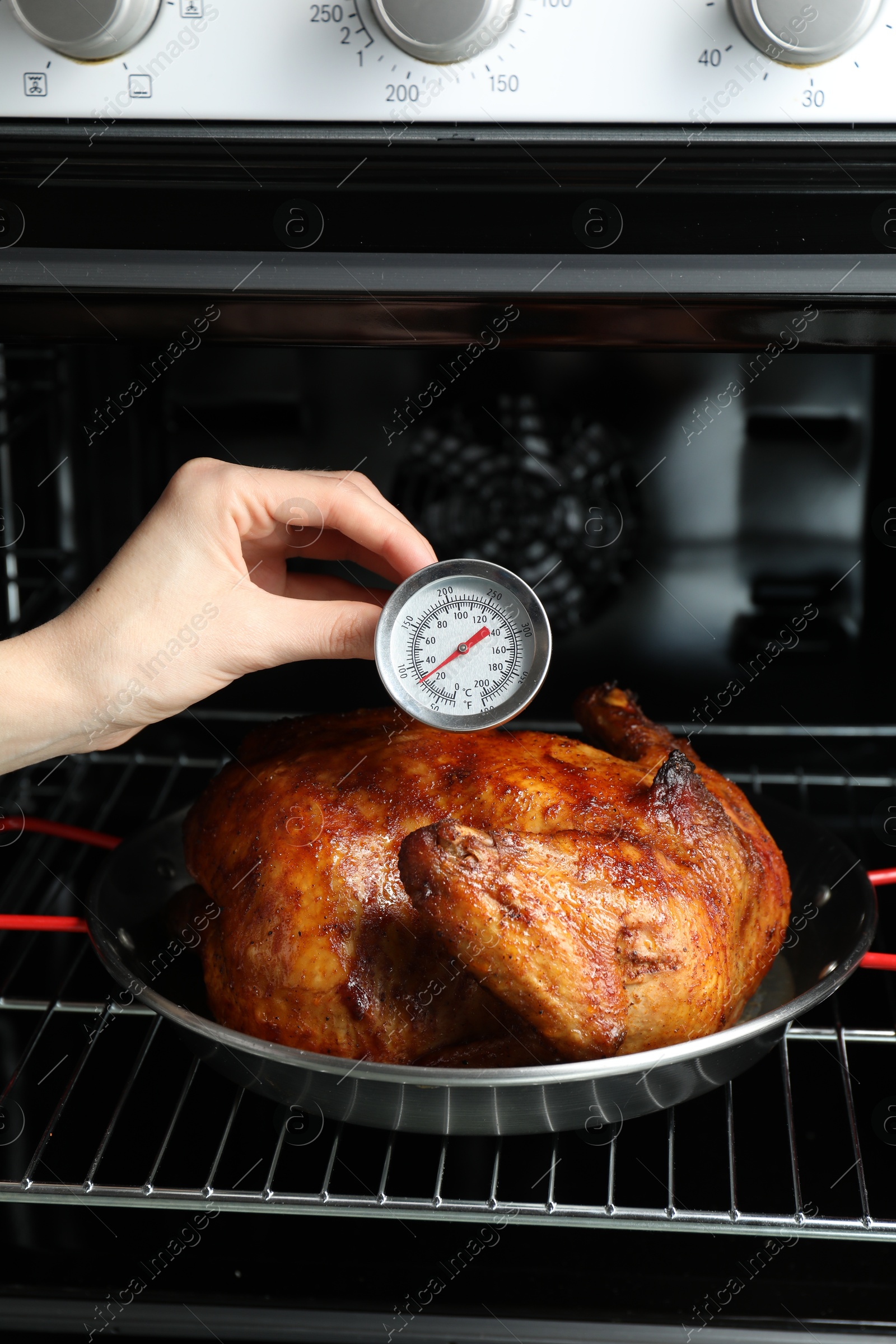 Photo of Woman measuring temperature of delicious baked turkey in kitchen, closeup