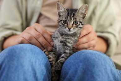 Photo of Man with cute kitten at home, closeup