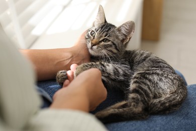 Photo of Woman with cute kitten at home, closeup