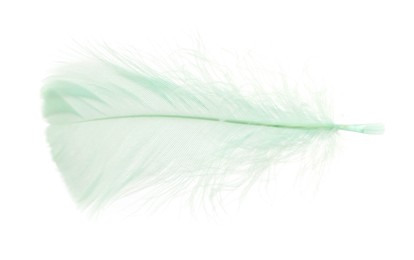 Photo of Fluffy light green feather isolated on white