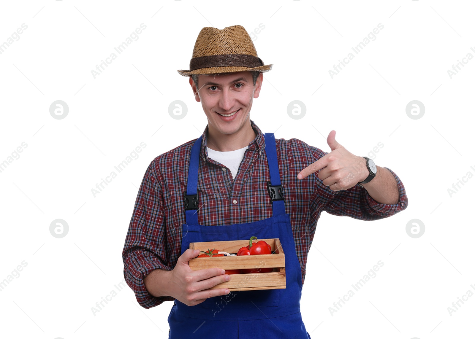 Photo of Farmer pointing at crate with vegetables on white background