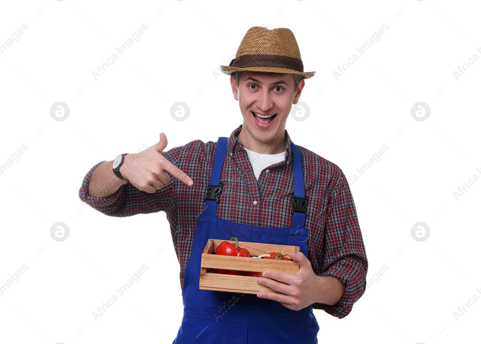 Photo of Farmer pointing at crate with vegetables on white background