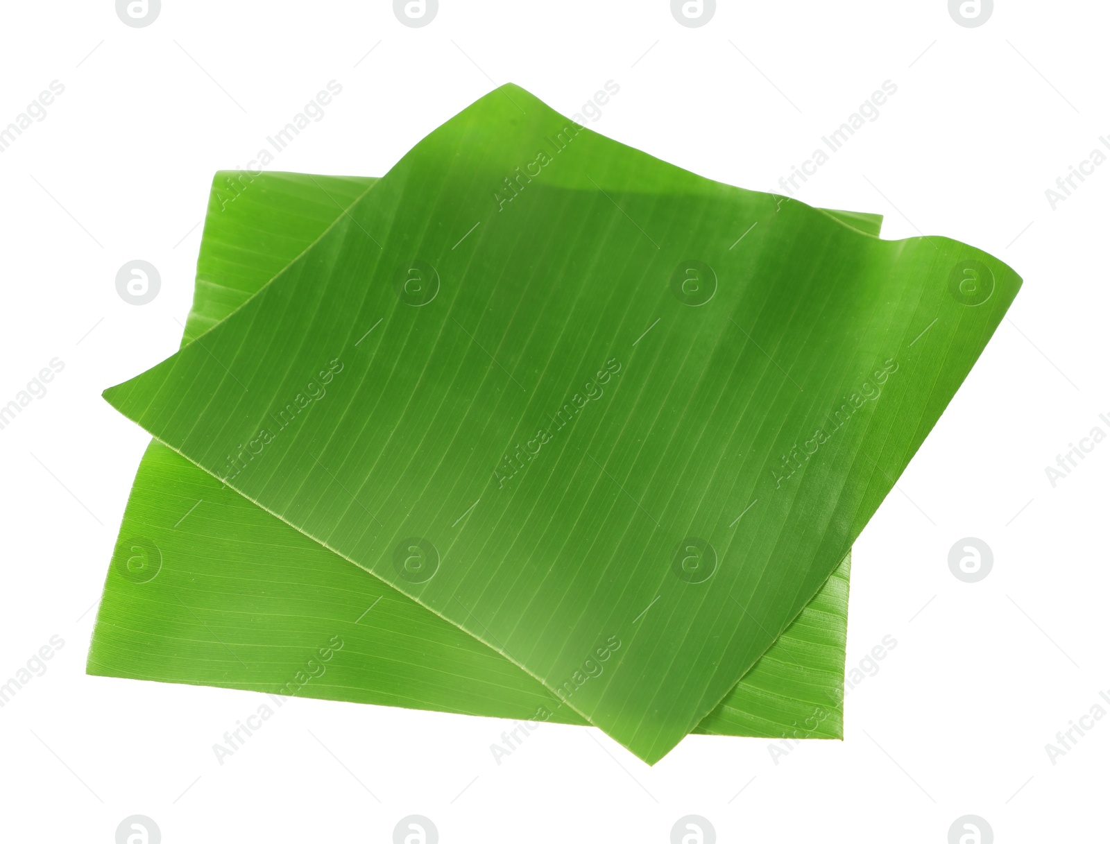 Photo of Pieces of banana leaves isolated on white. Traditional meal serving