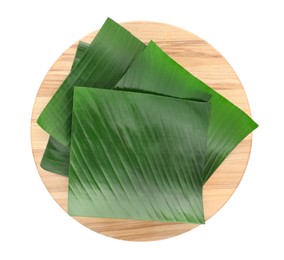 Photo of Pieces of banana leaves isolated on white, top view. Traditional meal serving