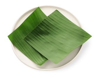 Photo of Pieces of banana leaves isolated on white, top view. Traditional meal serving