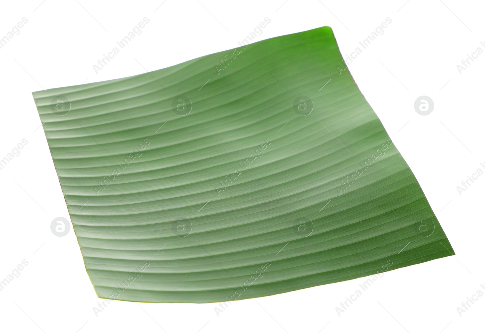 Photo of Piece of banana leaf isolated on white. Traditional meal serving