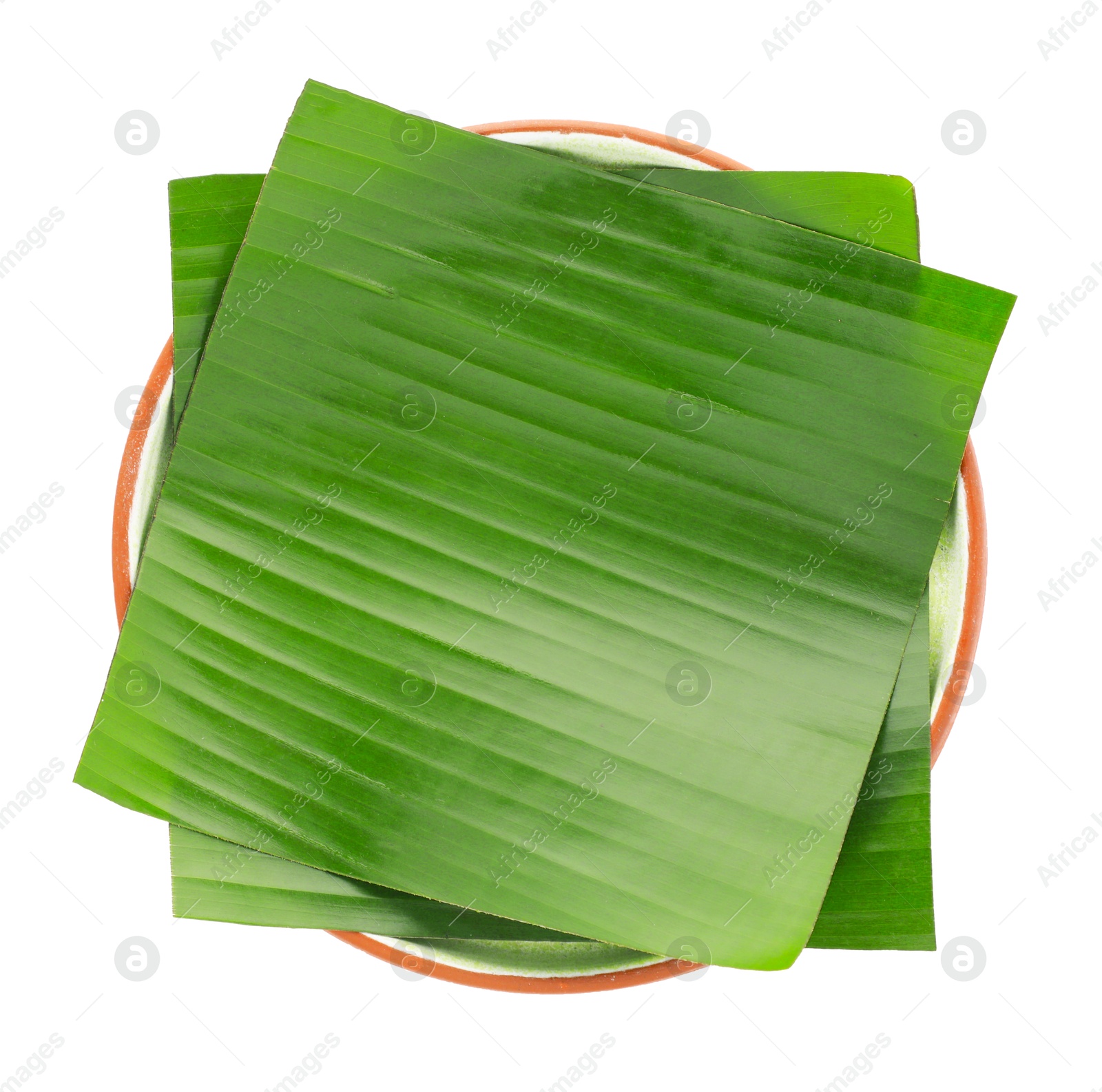 Photo of Pieces of banana leaves isolated on white, top view. Traditional meal serving