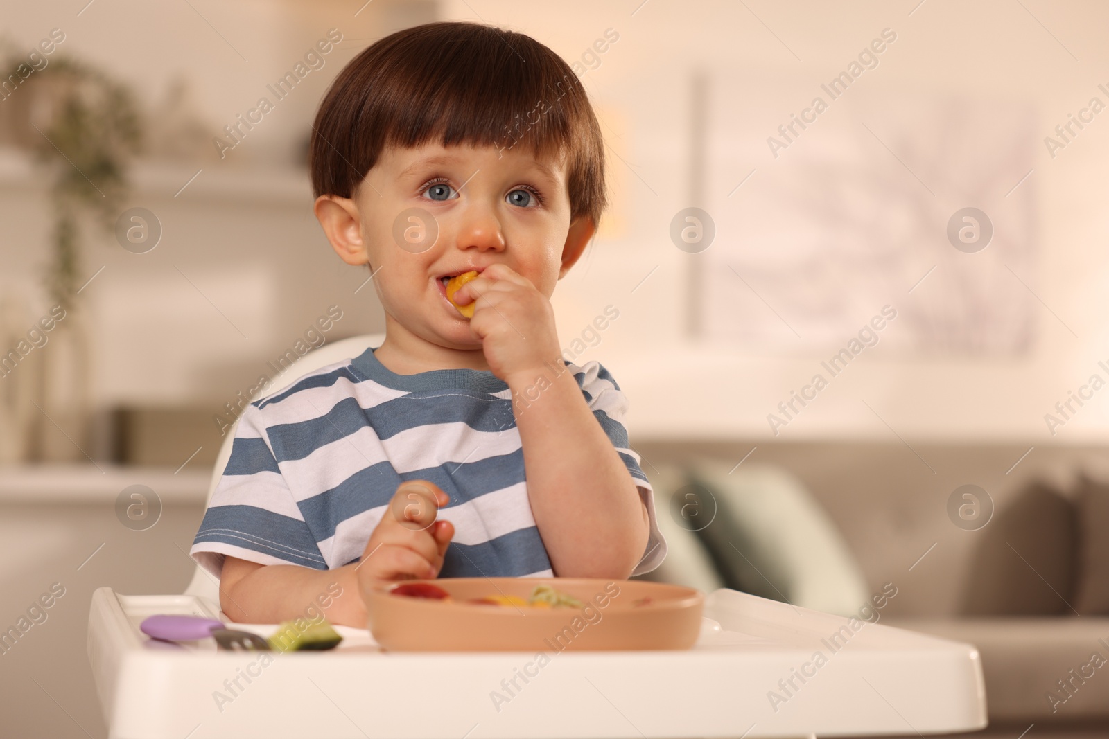 Photo of Cute little boy eating healthy food in high chair at home