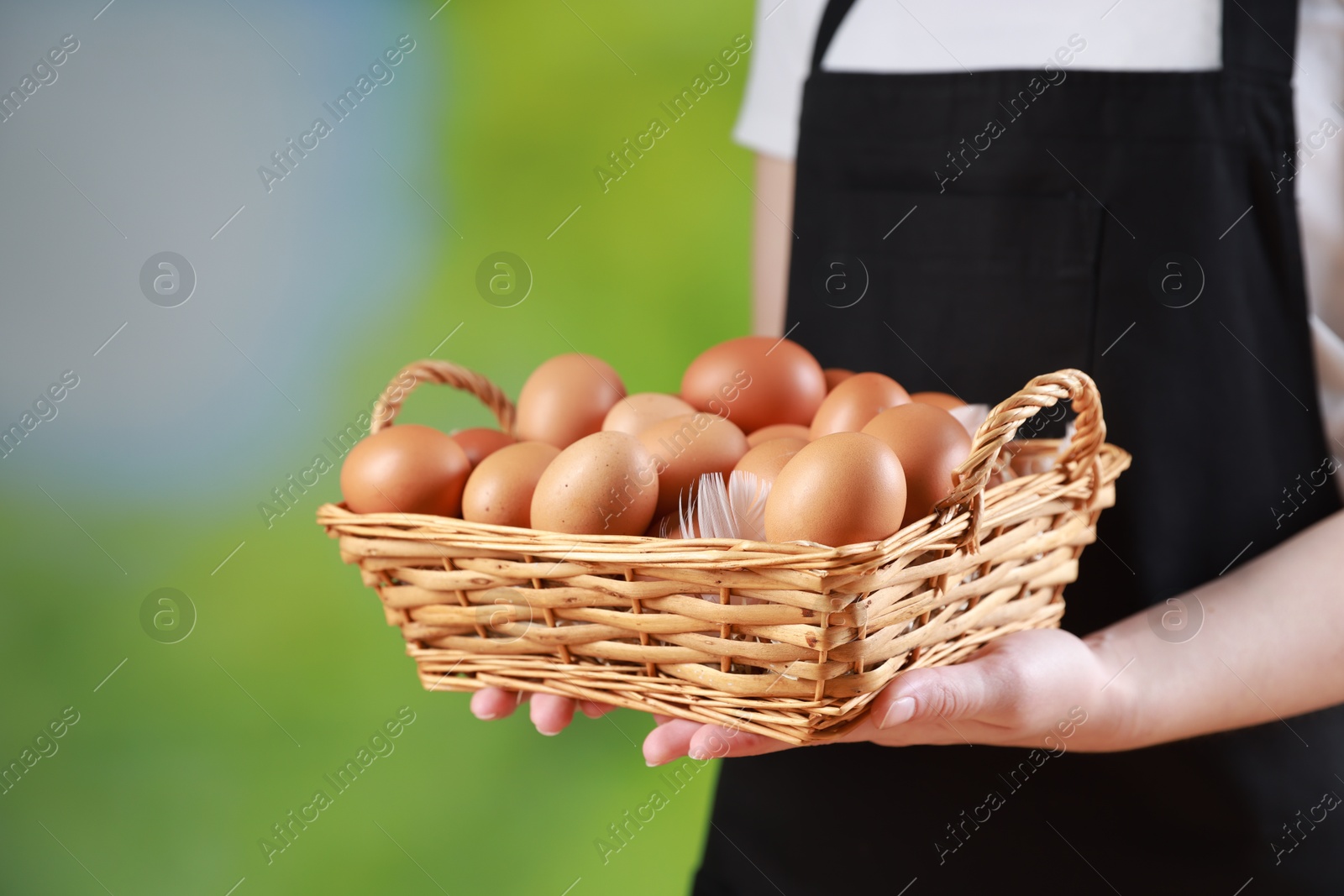 Photo of Woman with basket of eggs on blurred background, closeup. Space for text