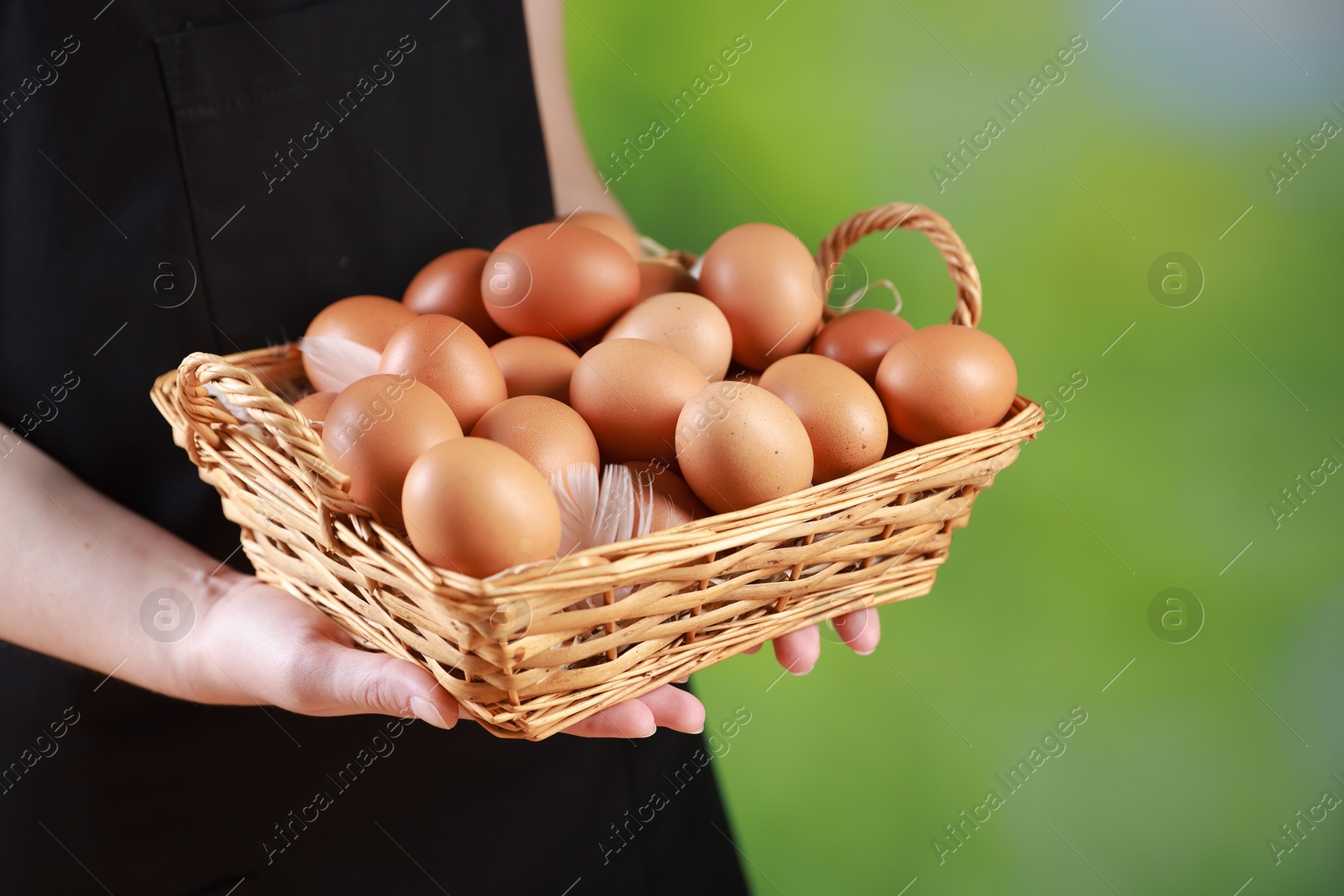 Photo of Woman with basket of eggs on blurred background, closeup