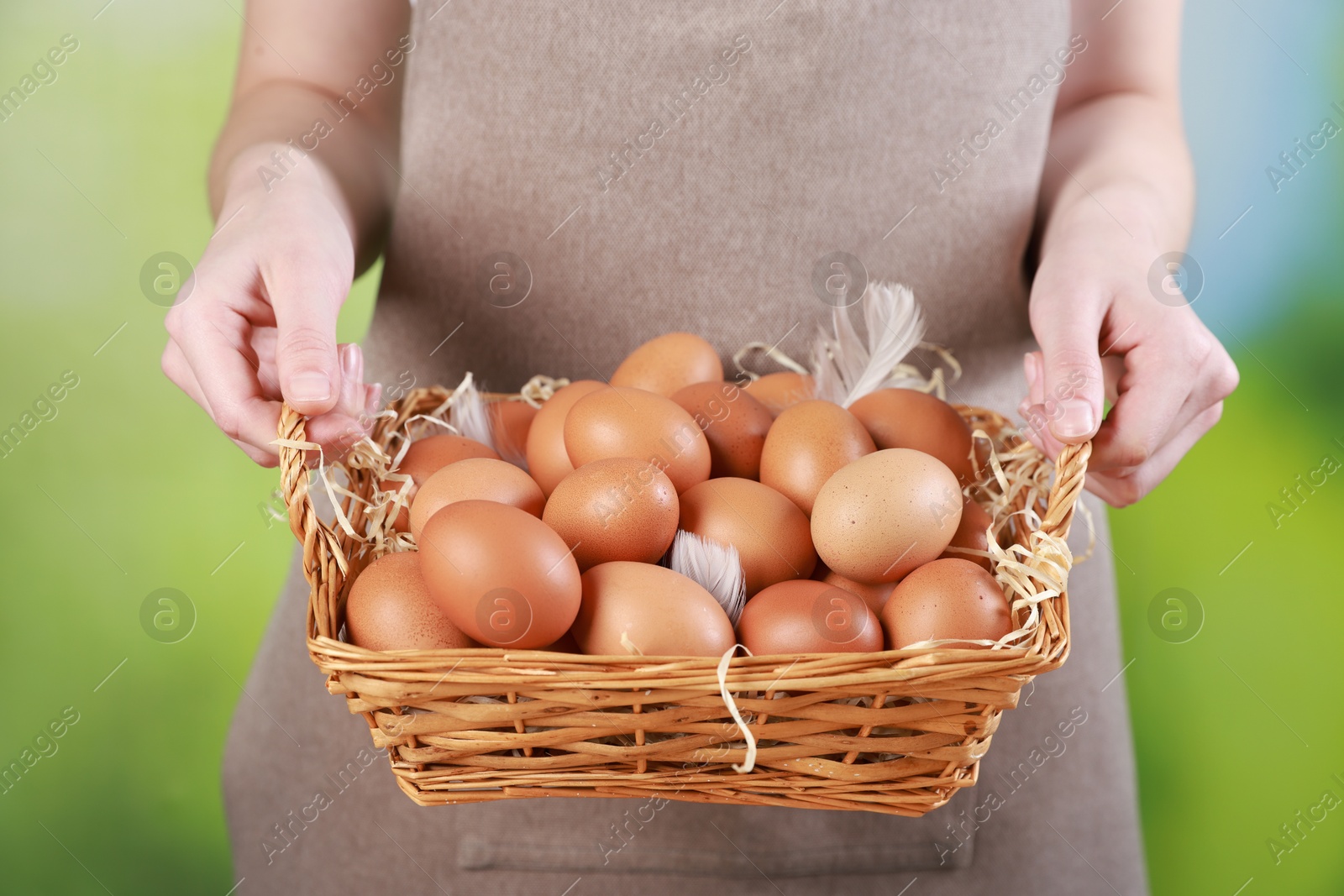 Photo of Woman with basket of eggs on blurred background, closeup