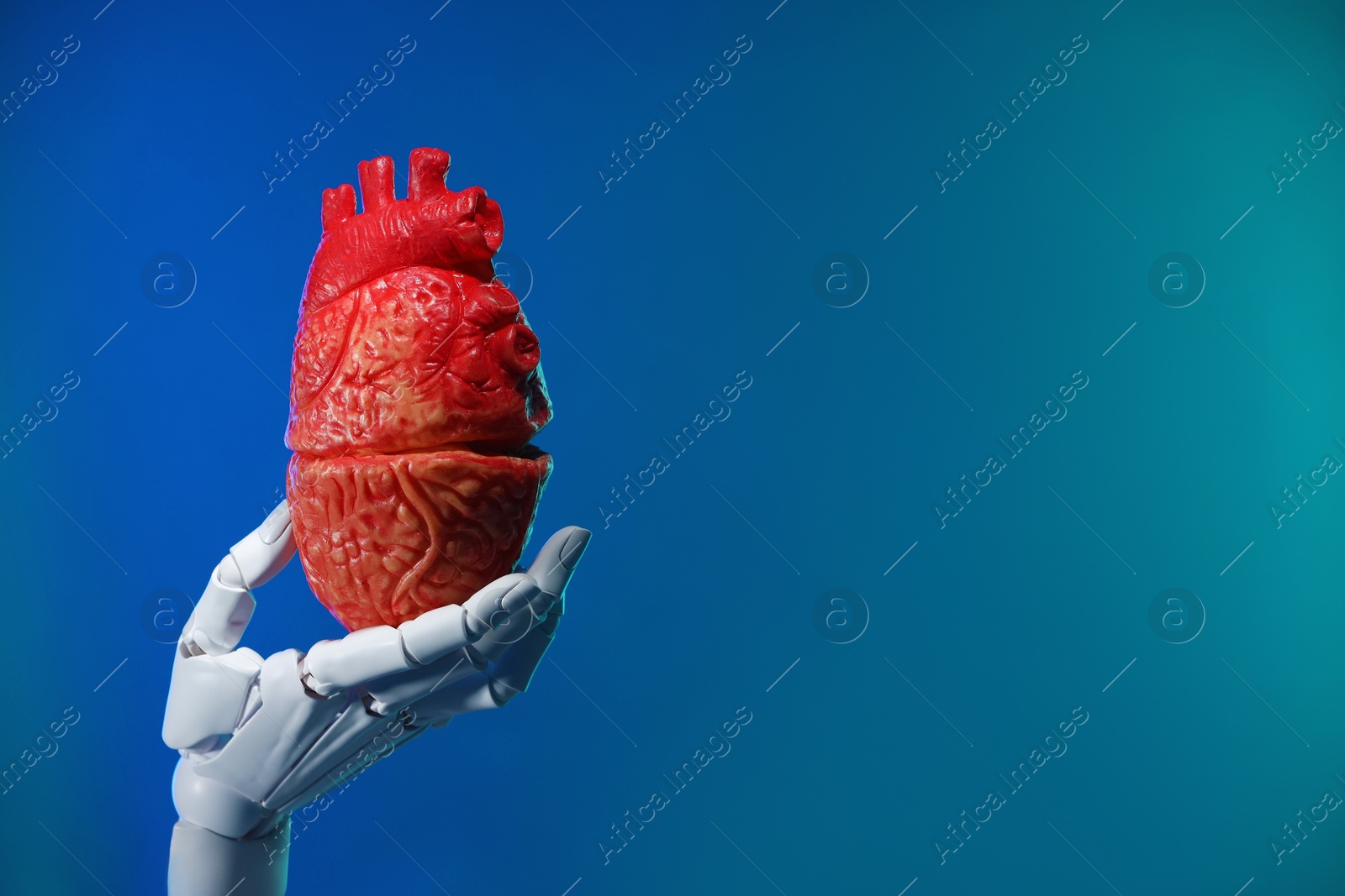 Photo of Artificial intelligence. Robot hand holding model of human heart on blue background, closeup. Space for text