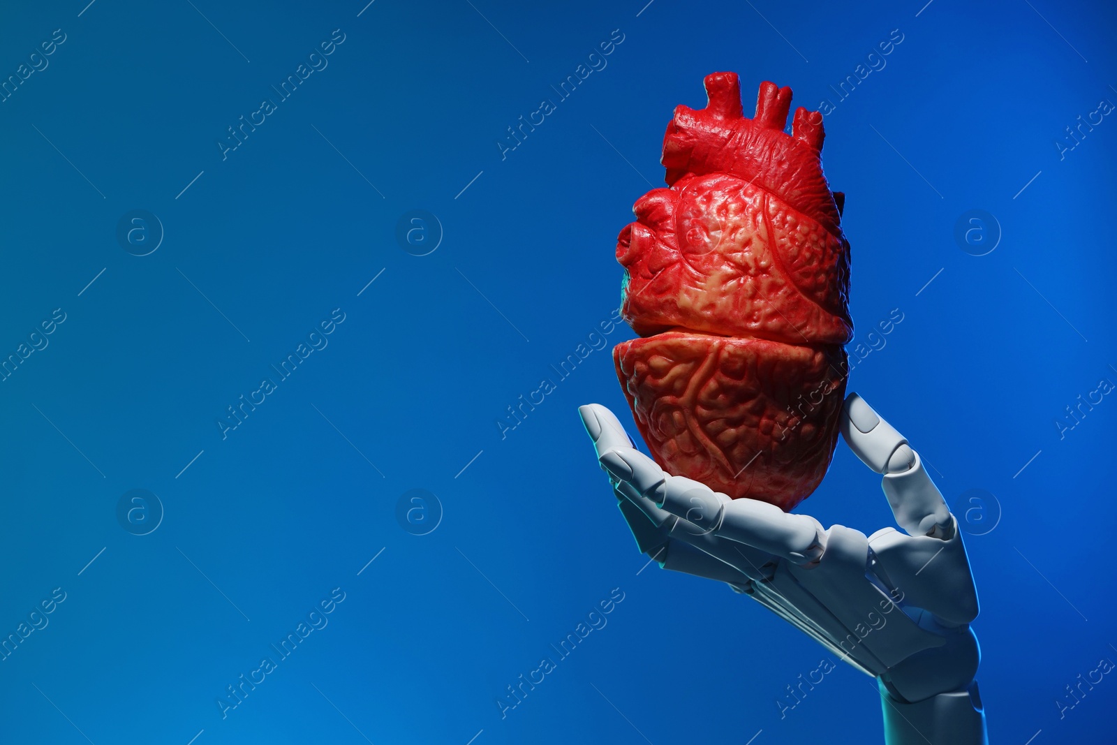 Photo of Artificial intelligence. Robot hand holding model of human heart on blue background, closeup. Space for text