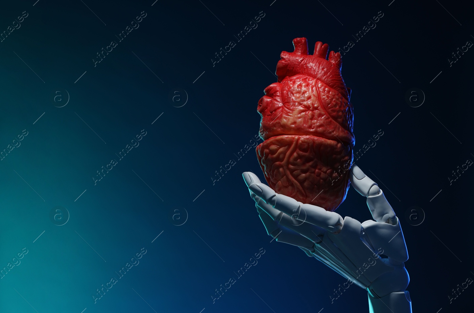 Photo of Artificial intelligence. Robot hand holding model of human heart on blue background, closeup. Space for text