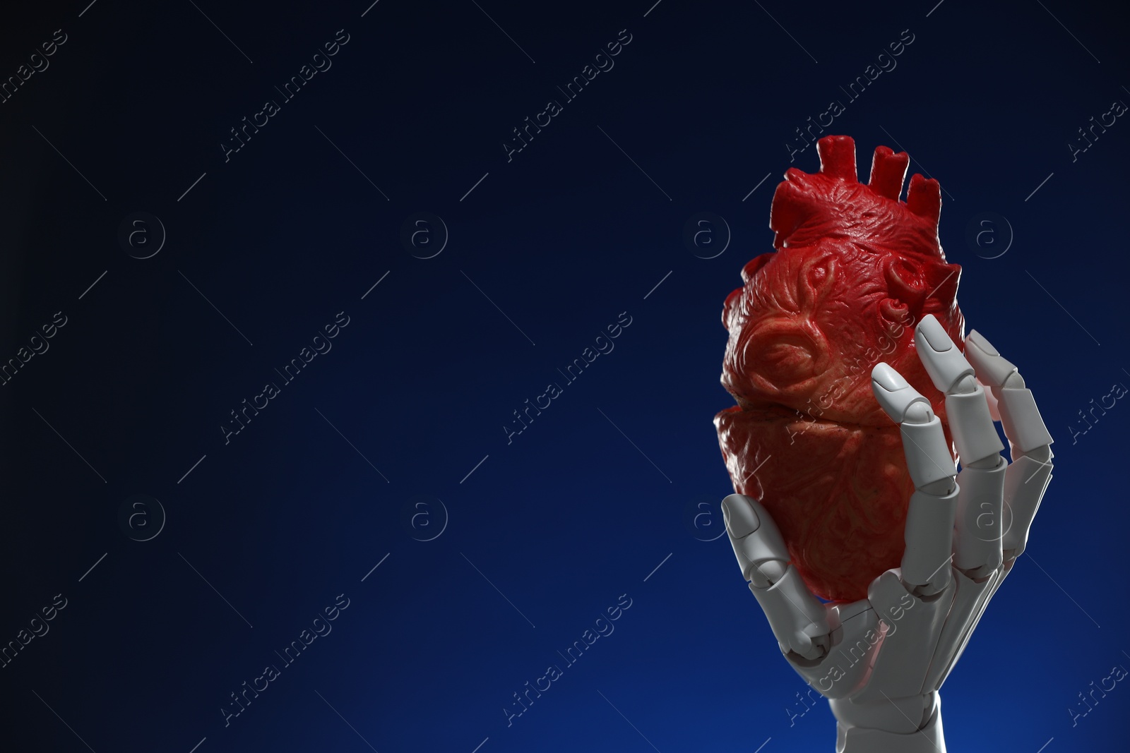 Photo of Artificial intelligence. Robot hand holding model of human heart on dark blue background, closeup. Space for text