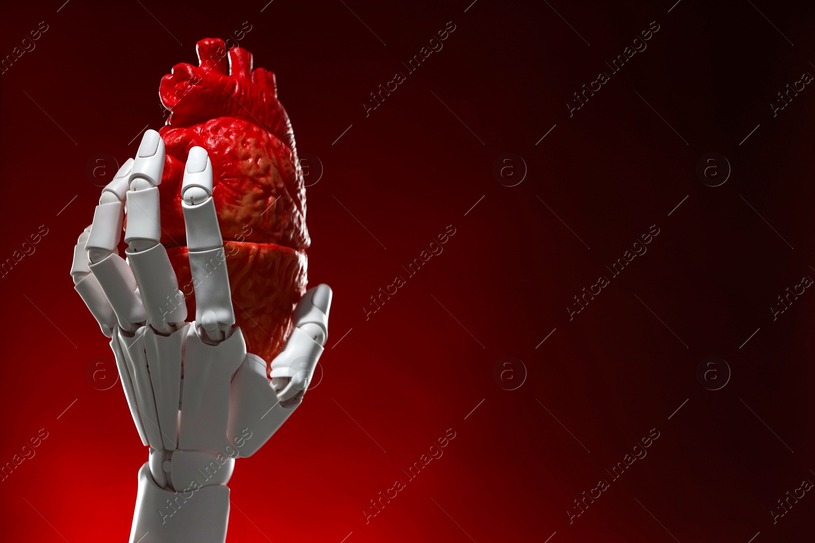 Photo of Artificial intelligence. Robot hand holding model of human heart on dark red background, closeup. Space for text