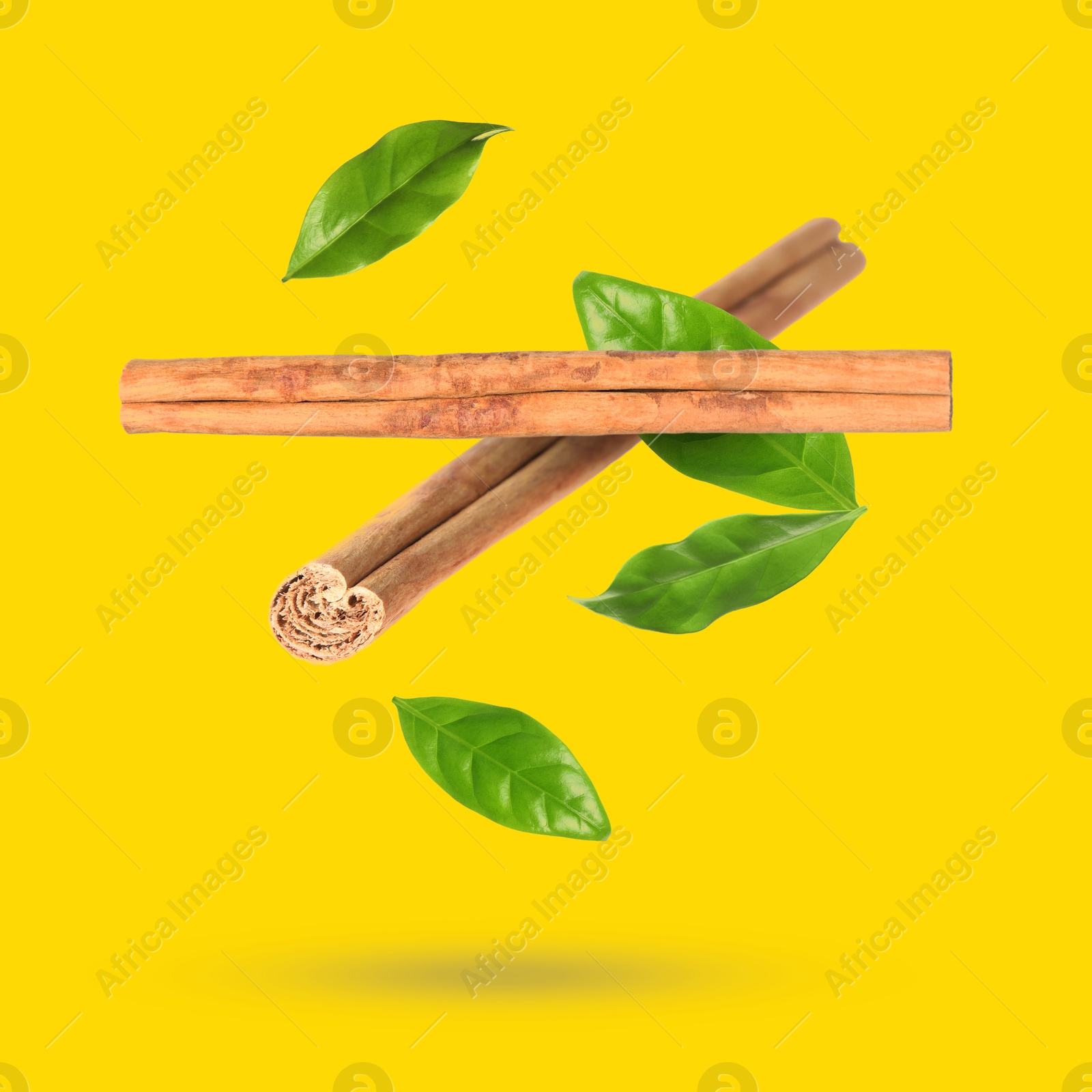 Image of Cinnamon sticks and green leaves in air on golden background