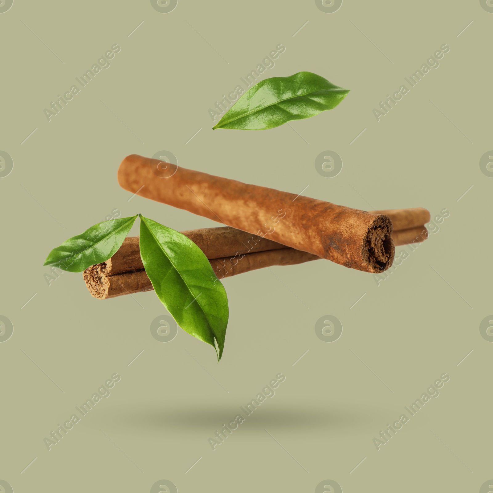 Image of Cinnamon sticks and green leaves in air on grey background