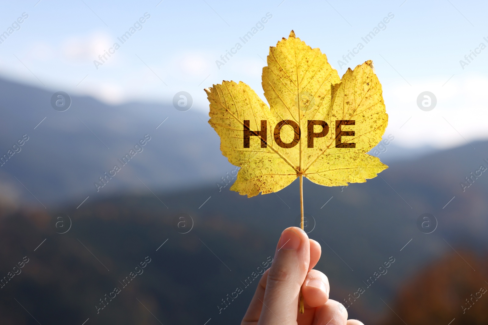 Image of Woman holding beautiful autumn leaf with word Hope in mountains, closeup