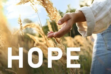 Image of Hope. Woman walking through meadow and touching reed grass at sunrise, closeup