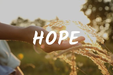 Image of Hope. Woman walking through meadow and touching reed grass at sunrise, closeup