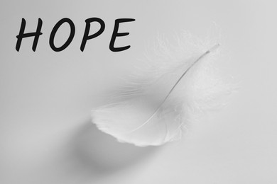 Image of Hope. Beautiful fluffy feather on white background