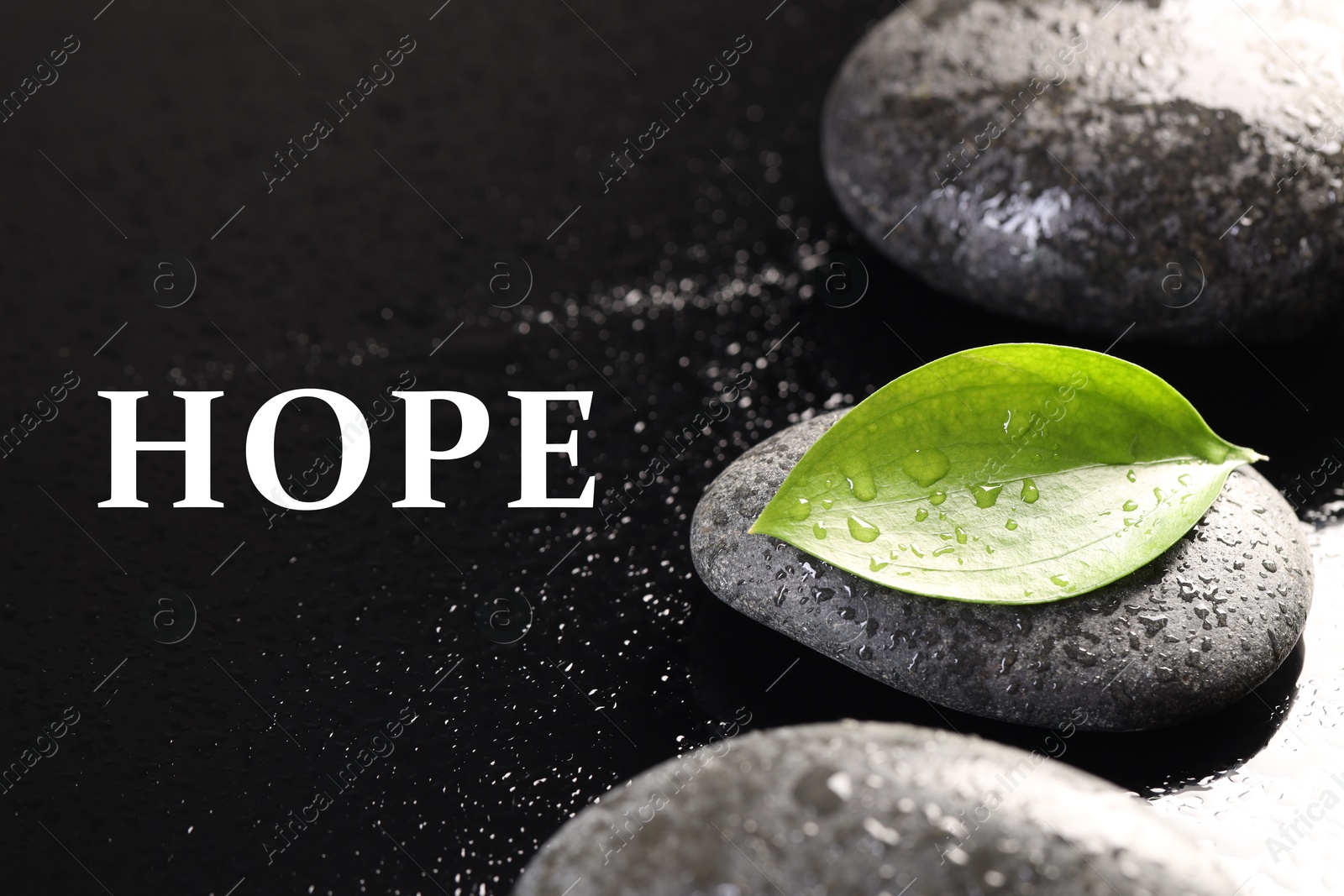 Image of Hope. Wet stones and green leaf on black background, closeup