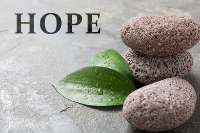 Image of Hope. Wet stones and green leaves on grey textured surface