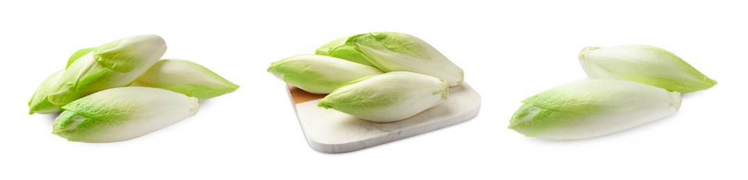 Fresh leaf chicory isolated on white, set