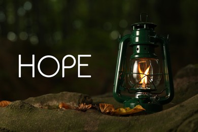 Image of Hope. Vintage kerosene lamp near tree in forest