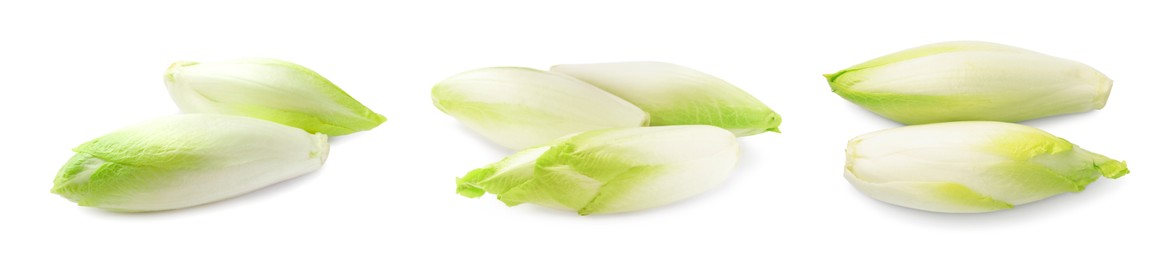 Image of Fresh leaf chicory isolated on white, set