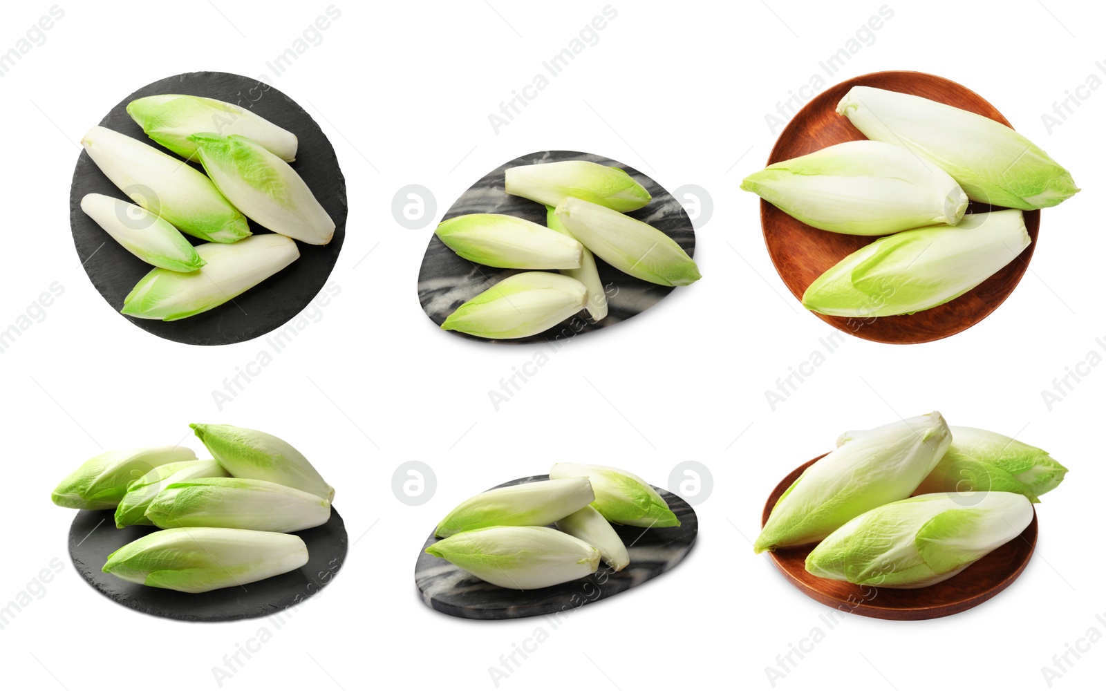 Image of Fresh leaf chicory isolated on white, top and side views. Collage