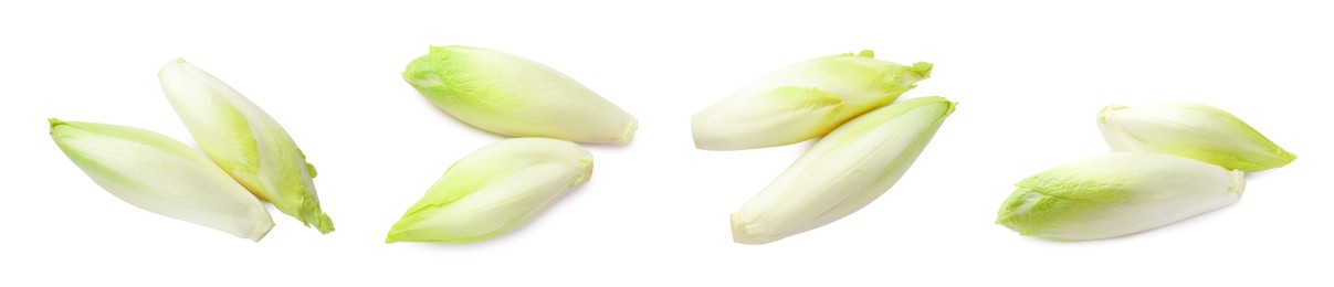 Image of Fresh leaf chicory isolated on white, set