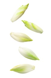 Image of Fresh leaf chicory in air on white background