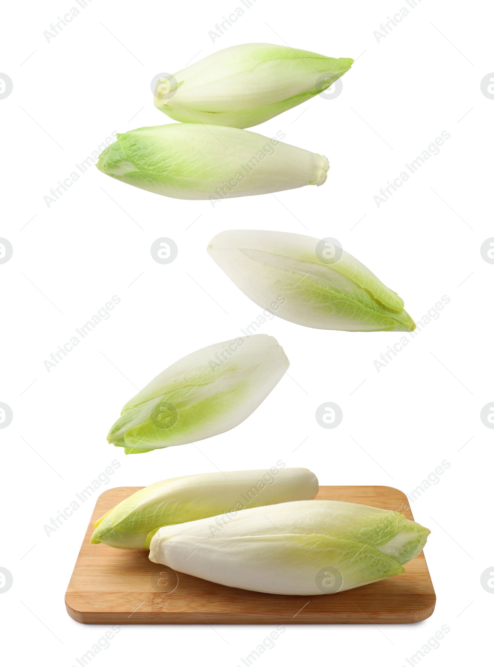 Image of Fresh leaf chicory falling on white background