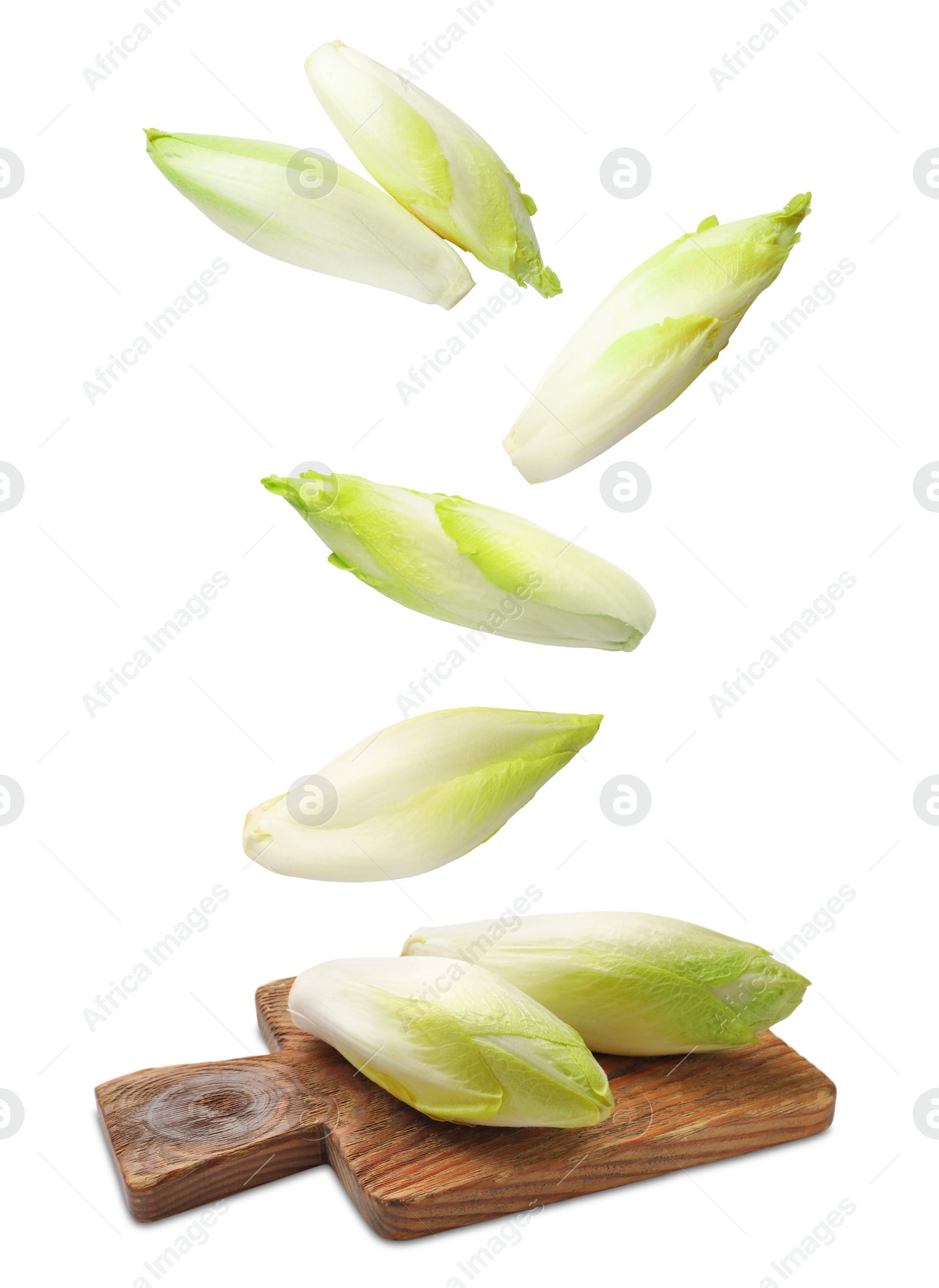 Image of Fresh leaf chicory falling on white background