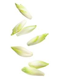 Image of Fresh leaf chicory in air on white background