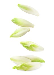 Image of Fresh leaf chicory falling on white background