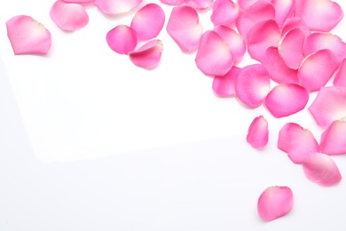 Photo of Many pink rose petals on white background, top view