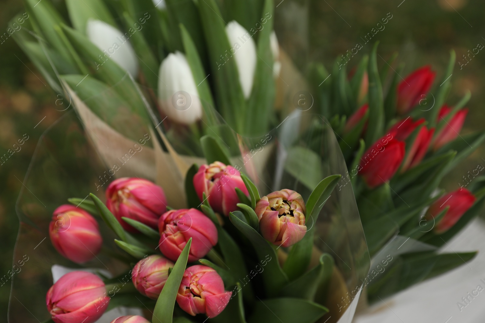 Photo of Beautiful bouquets of colorful tulips outdoors, closeup