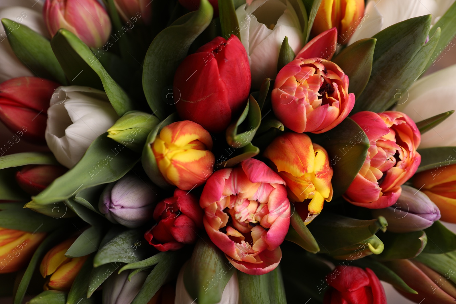 Photo of Beautiful bouquet of colorful tulip flowers, closeup