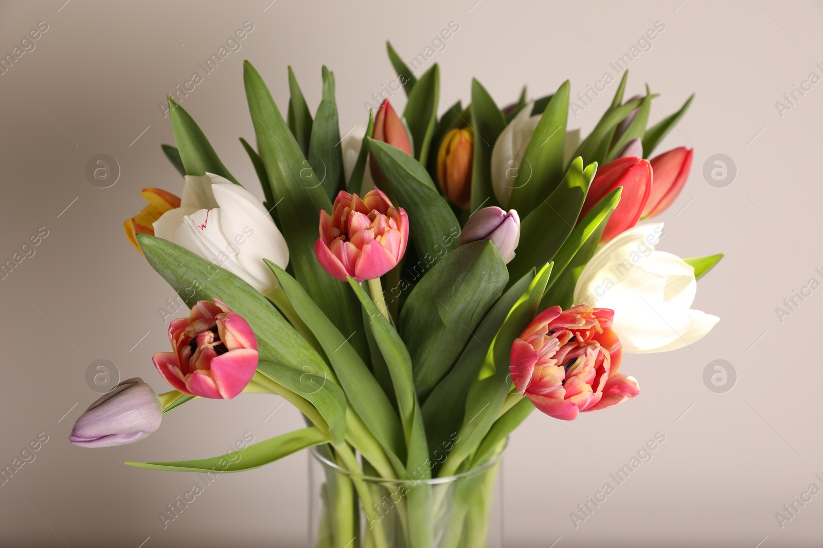 Photo of Beautiful bouquet of colorful tulips in glass vase on beige background