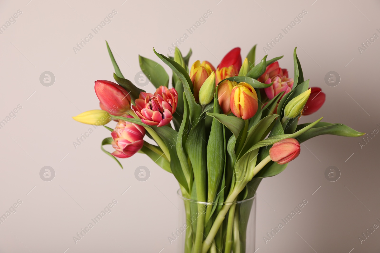 Photo of Beautiful bouquet of colorful tulips in glass vase on beige background