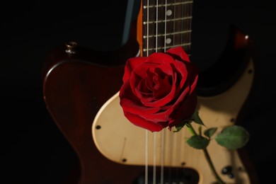 Photo of Beautiful rose near electric guitar on black background, closeup. Space for text