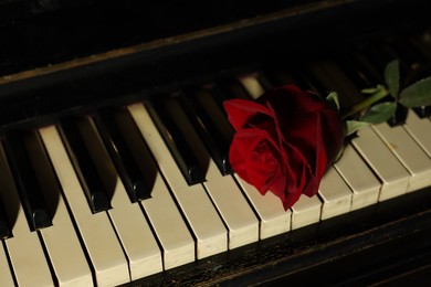 Photo of Beautiful red rose on piano keys, closeup. Romantic music