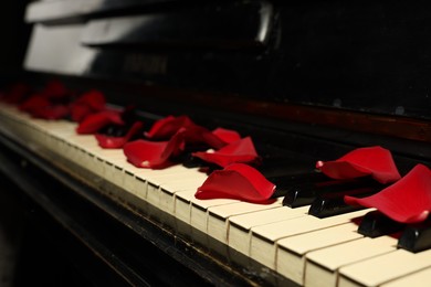 Photo of Many red rose petals on piano keys, closeup. Space for text