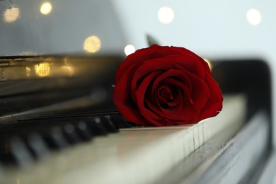 Photo of Beautiful rose on piano keys against blurred festive lights, closeup. Space for text