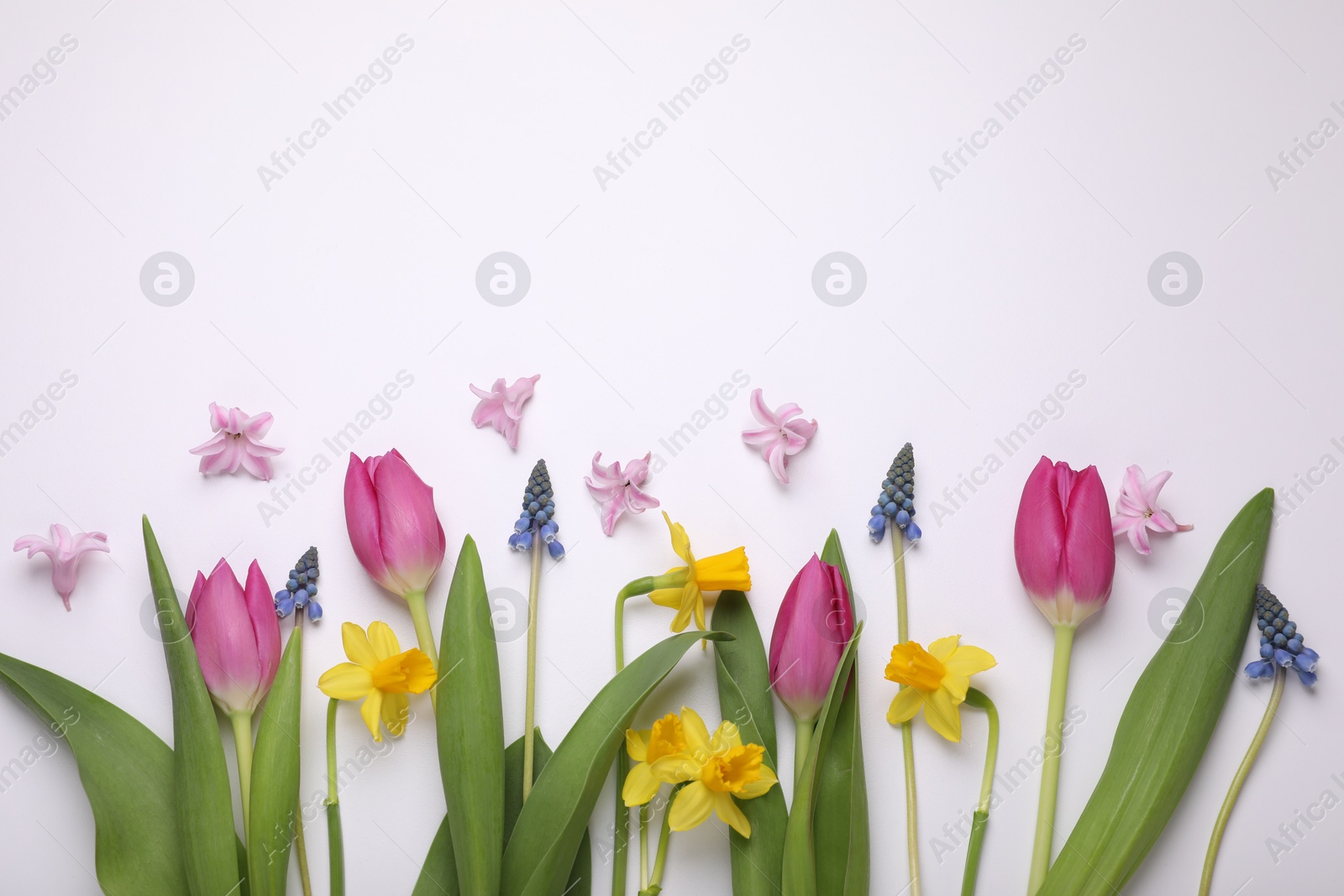 Photo of Beautiful flowers on white background, flat lay. Space for text